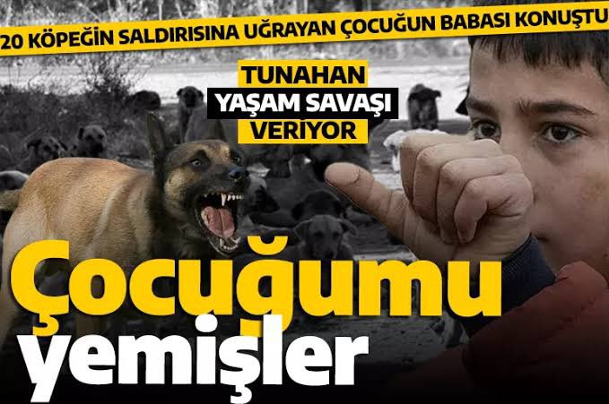 GuvenliSokaklar's tweet photo. Sera Kadıgil başta olmak üzere köpeklerin başıboşluğunu savunan tüm vekiller ölen/parçalanan ve ölecek/parçalanacak çocuklardan SORUMLU OLACAKLAR! 

Siyaset vatandaşın sorunlarına tatlı temenniler dileyeceğiniz yer değil; rasyonel çözüm sunacağınız yerlerdir! Meclise insanları düşünmeyen vekilleri istemiyoruz!
@tipgenelmerkez @erkbas @herkesicinCHP @eczozgurozel 
#yasayaevet