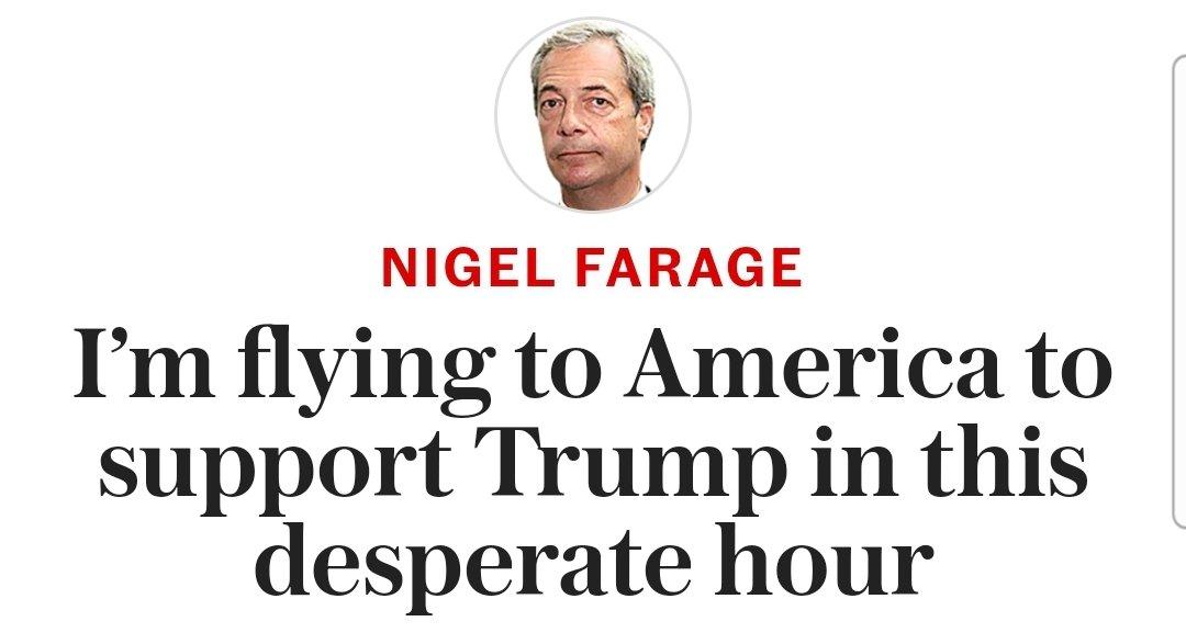 SkewSmug's tweet image. I'm fucking off to grift off the arse vapour of a rapist paedophile £billionaire senile psychopath, fuck you Clacton.