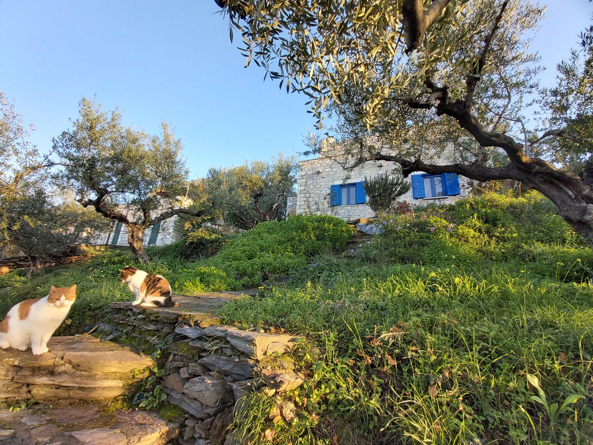 Jackie & Joel Smith tweet media