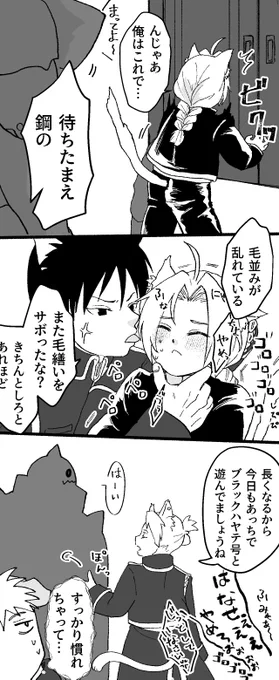 🐱ロイエド2
※みんな獣人 