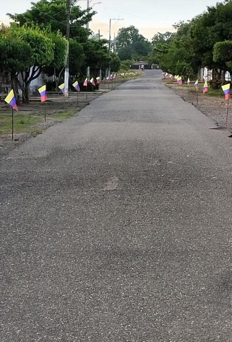 Yamilito Arana tweet media