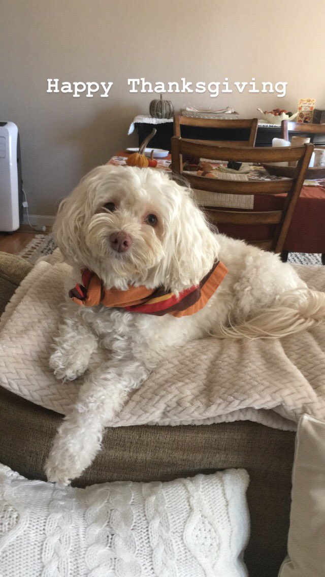 genghisclan tweet media