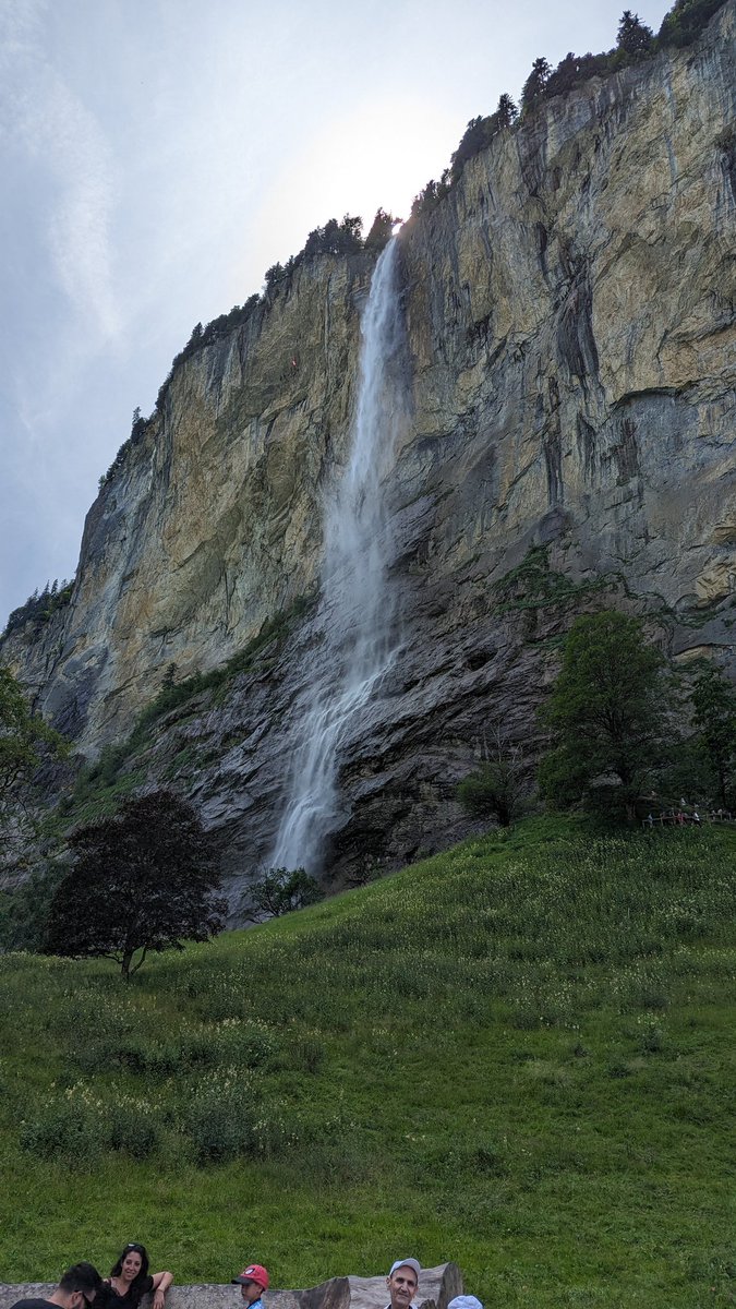 Cameron (Brand Optimiser) tweet media