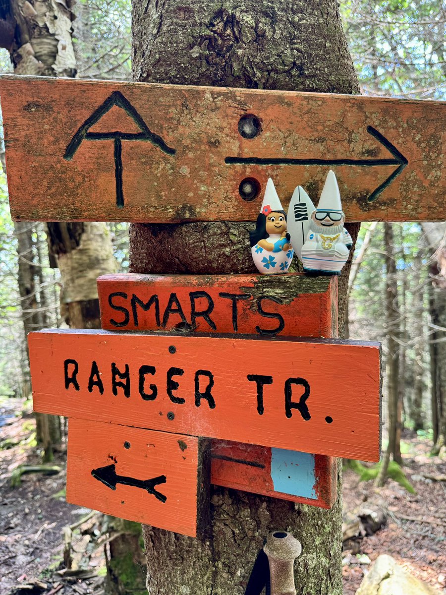 Alice Lin Pomponio 林明慧 tweet media