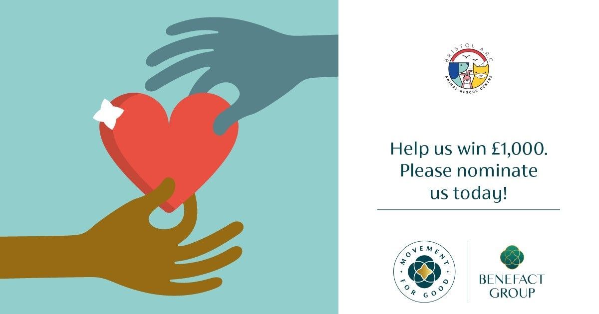 Help us win £1000! 🐾

Benefact Group are awarding £1000 to charities across the UK as part of their Movement for Good programme.

Your support would mean the world to vulnerable animals in Bristol.

Follow the link to submit your nomination. 🐶🐱

buff.ly/45YOtrt