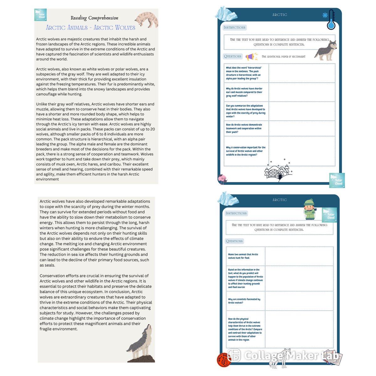 Tutorcloud11's tweet image. Discover the life of Arctic wolves! 🐺 Improve your reading skills with our Arctic Wolves Reading Comprehension worksheet. Link in bio. #Education #ReadingComprehension #ArcticWolves #TeachingResources