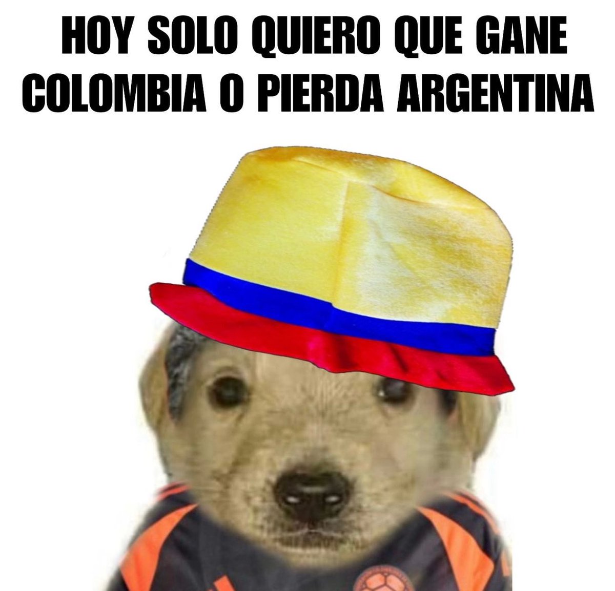 nacional_memes's tweet photo. Like si quieres que gane Colombia y que pierda Argentina ❤️💙 https://t.co/D6s2HPCxiY
