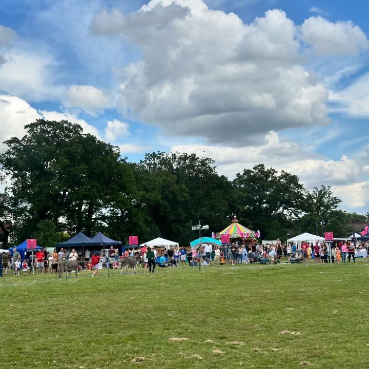 It was great to be in Theydon Bois this afternoon for the Donkey Derby. We have a wonderful District here in Epping Forest with so much going on in the summer months. We have a brilliant community!