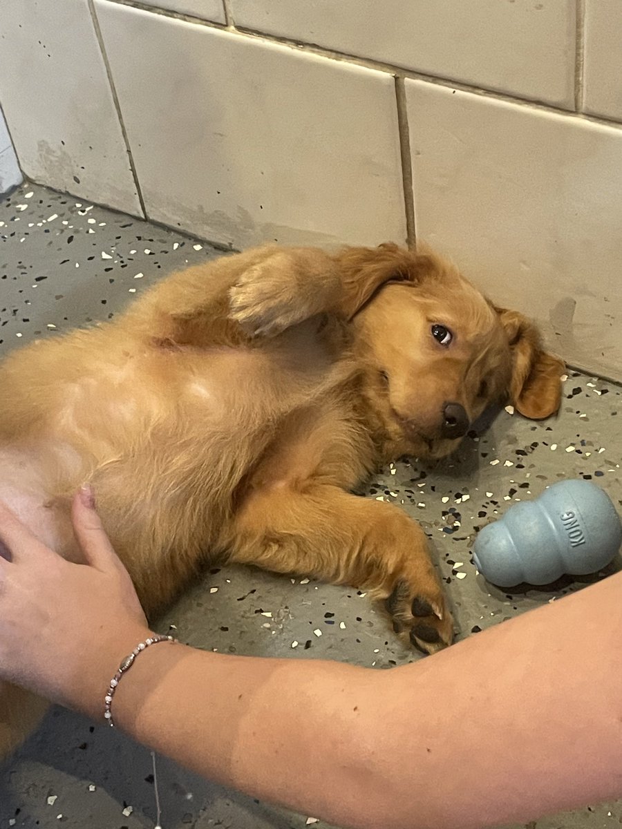 Jill Marie tweet media