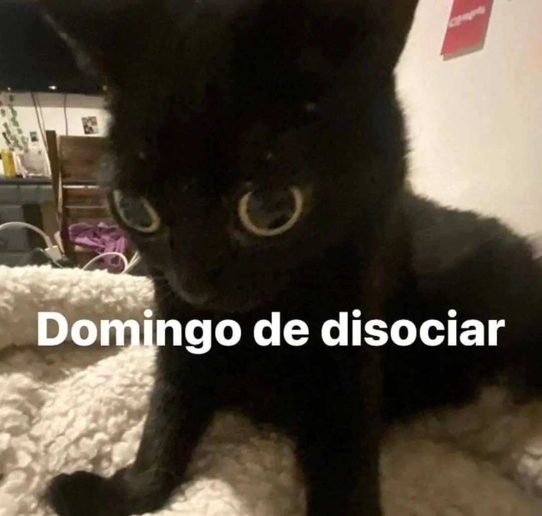 En Júpiter (@en_jupiter_) on Twitter photo 