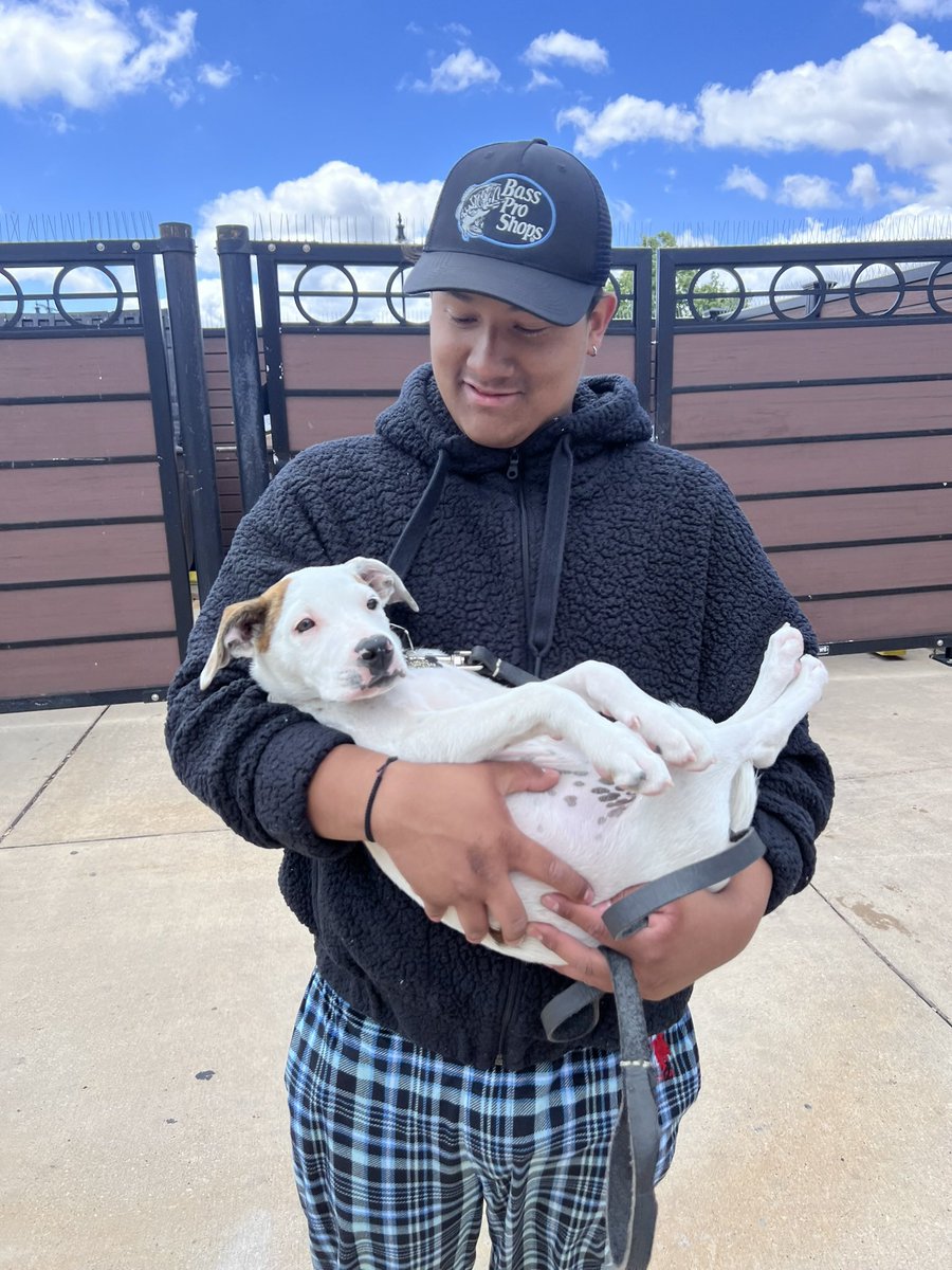lesspopular_'s tweet photo. @stevewilldoit Meet Domingo, Straight from the streets of Mexico 🇲🇽 $lesspopular https://t.co/y2kGxH309x