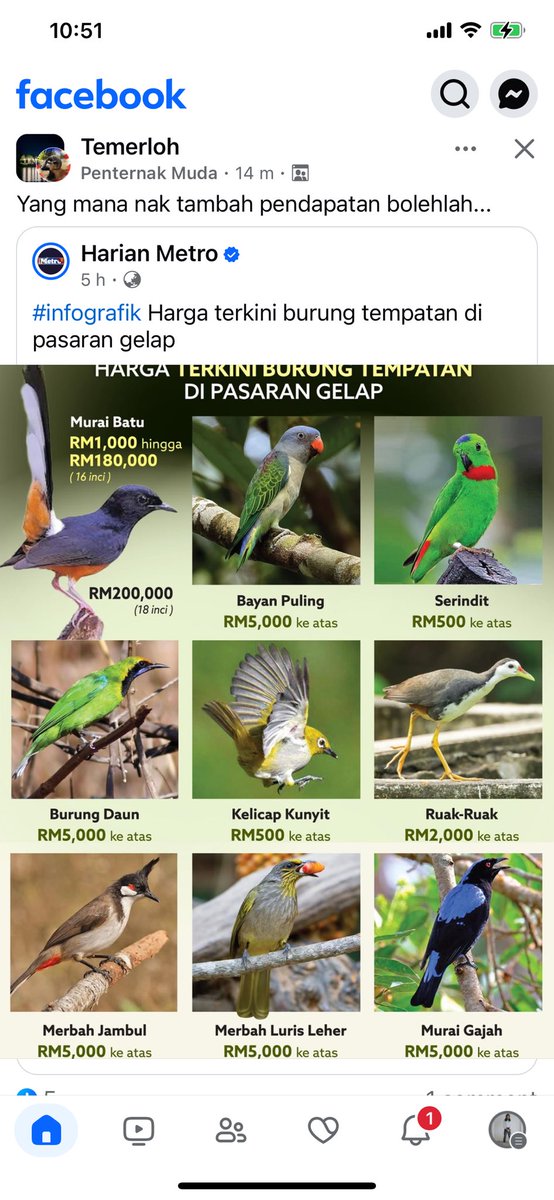 apixpitcha's tweet photo. Bodoh https://t.co/3bj3JjareK