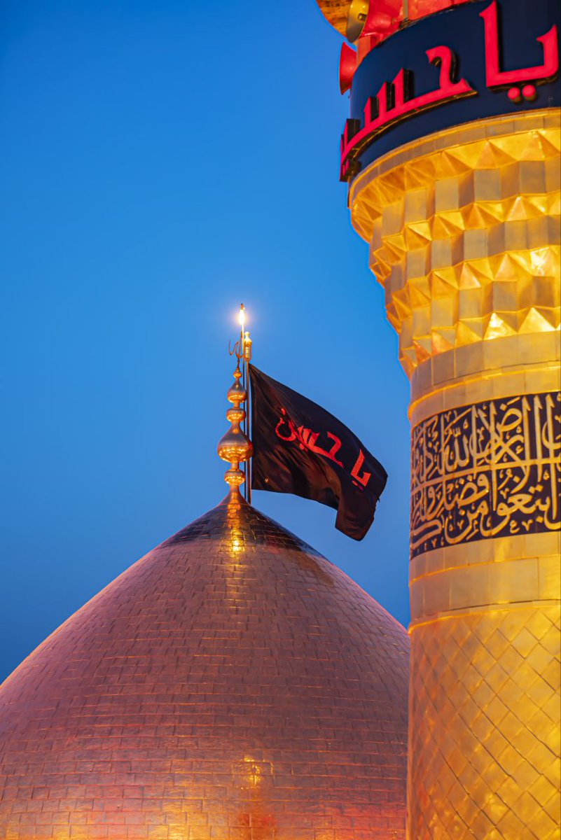 Masoud Moalemi Nejad tweet media