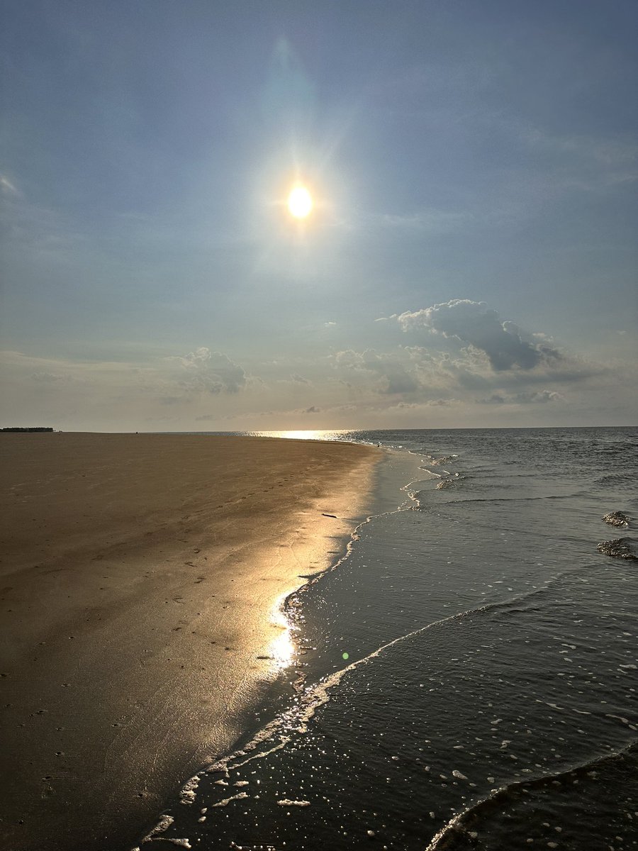 Emily hicks tweet media