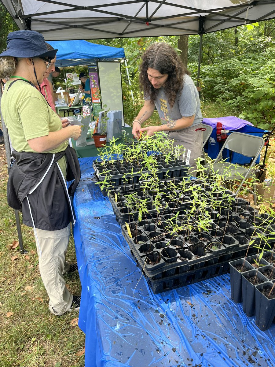 WDCGardener's tweet photo. I enjoyed visiting the meadow day at @universitypark_md yesterday. Great turnout and gif to meet Mayor Morrissey who js also a Master Gardener and Council Member Dubayah who has provided essential support for the Meadow and UP Meadow Day. #gardendc #dmv #pgco #universitypark https://t.co/b4Lz6BHyrO