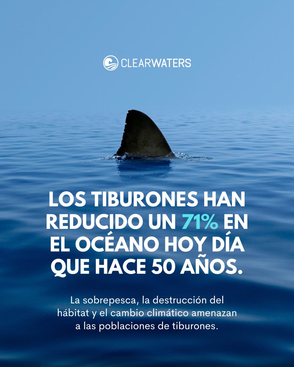 clearwaters_pr's tweet photo. ¿Por qué están bajo amenaza? https://t.co/3Fb9eBnSC5