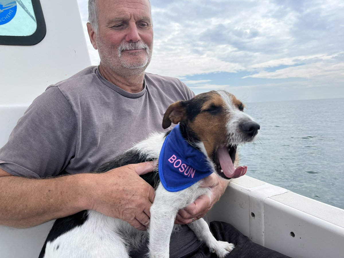 HappyHooker1157's tweet photo. Bosun says it’s so tiring finding the fishies 🐾🐾
#Bass #linecaught https://t.co/JAR1zbgkGB