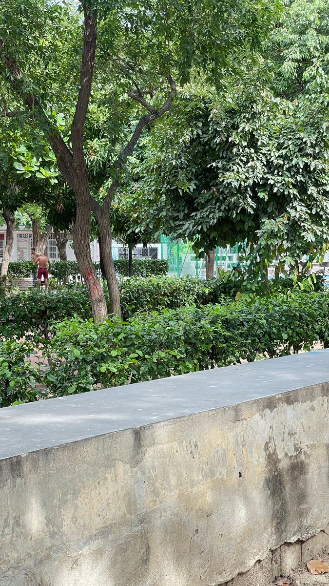 InmaVon's tweet photo. Los machos delis de las barras del parque San Miguel de Santa Marta https://t.co/kccOrWZuQJ