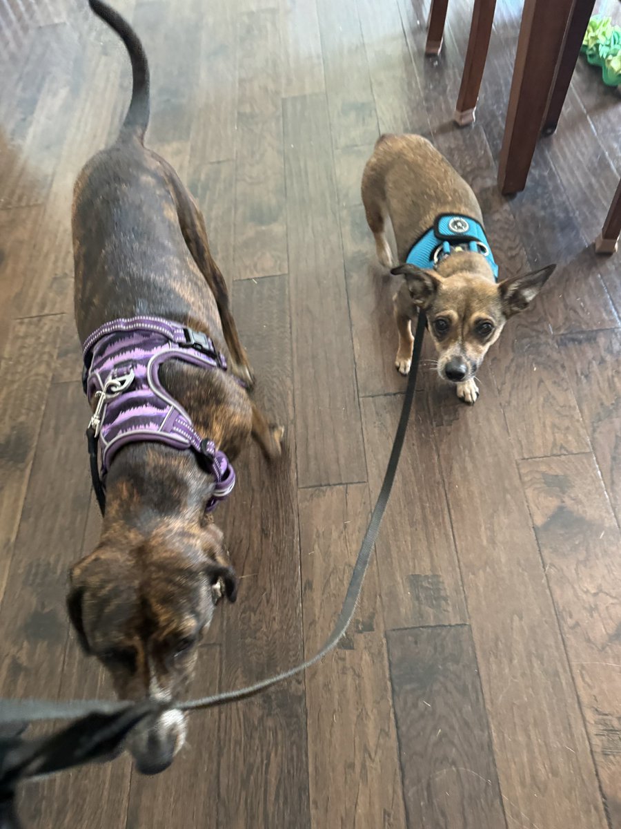 Mr. Malvik tweet media