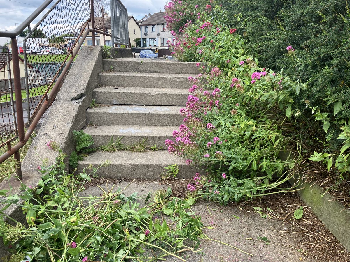 CEA_NIRL's tweet photo. Stairway down to the park has been left overgrown + littered…

Not anymore 💪

This is where having some pride in your area can change the outlook - it’s more inviting, tidy, nowhere for litter to clutter…👍

We challenge you to find a local spot + give it a refresh 🤜🤛 https://t.co/a4LKhJpiRu