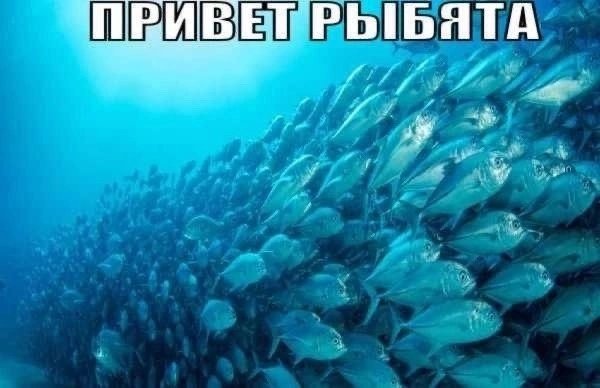 I32699's tweet photo. Может восстановить это местечко как параллельный щитпостник https://t.co/TQ2hXPSYvY