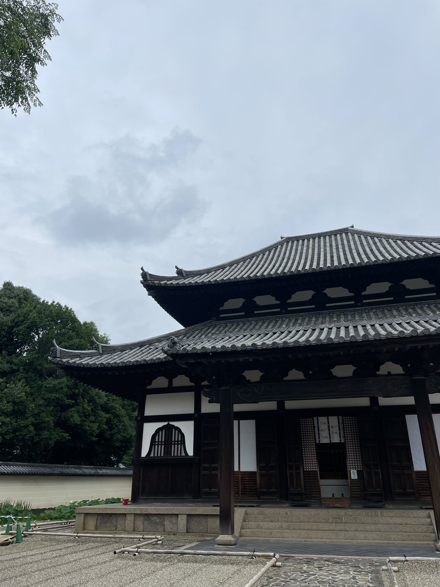 infrunamy's tweet image. Nara