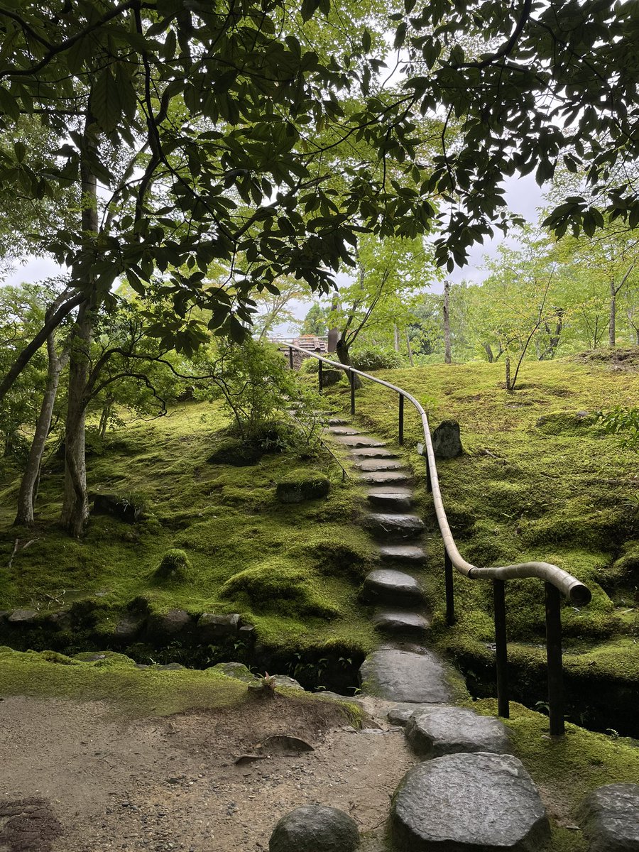 infrunamy's tweet image. Nara