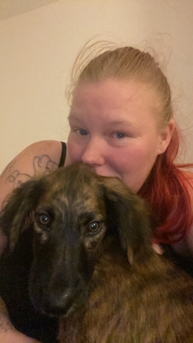Amber Gentry-Smith tweet media