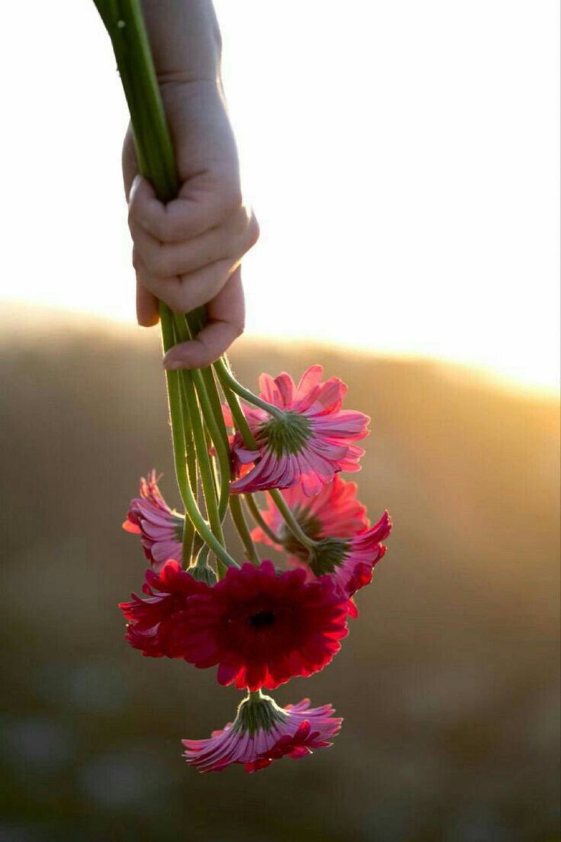 Q_A_111's tweet image. على البال ياللي كل مامرني طاريك
بدت كل تنهيده تمارس هوايتها

أنا لو ينسيك الزمن ماني بناسيك
محبتك قصه ما اقدر اكتب نهايتها

لو الوقت يرجع قبل اعرفك وقبل اجيك
وقبل الهقاوي تنثني دون .. غايتها

بـاروح انتظر فأول مكانٍ جمعني فيك
و بـاعيد تجربتي معك من بدايتها

#وجد