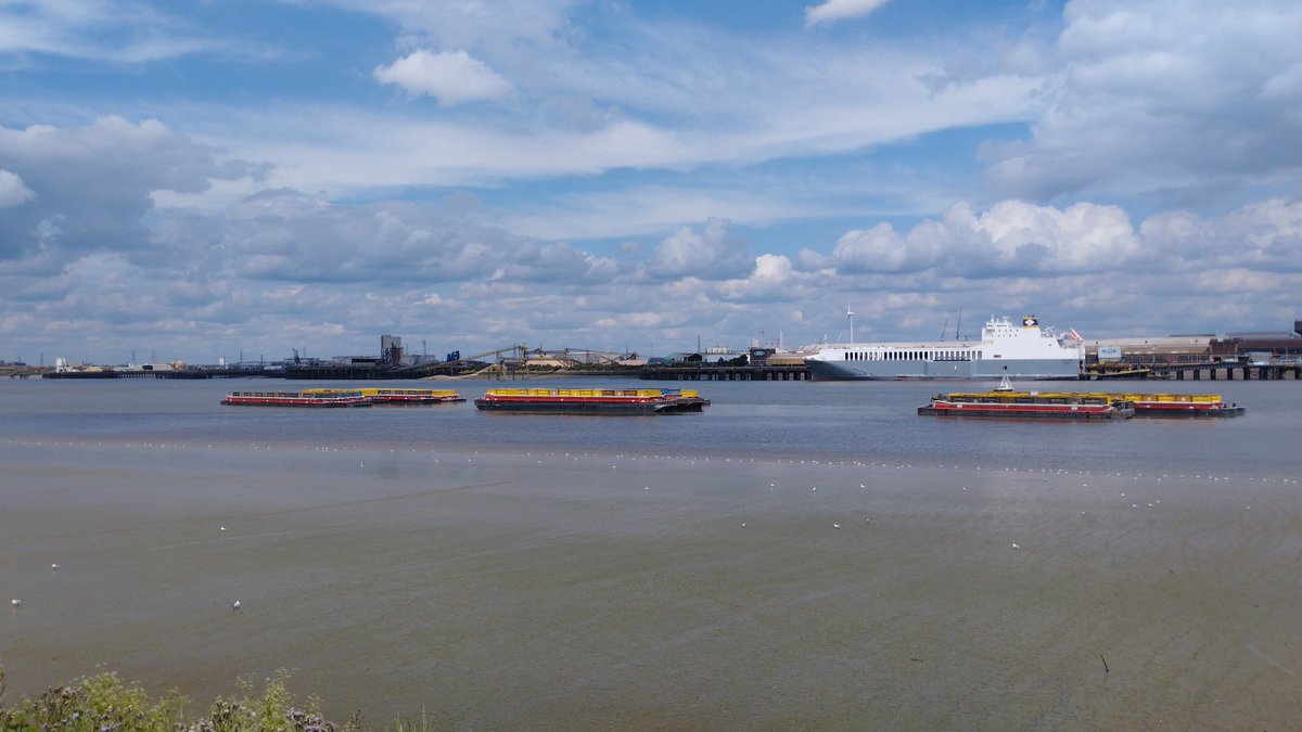 New longest run this morning. 18km along the Thames Path from Dartford to Woolwich. Not bad for someone who'd never run more than 5km before this year! Training for a half marathon in memory of my friend and NHS colleague Robert Shaw. Pls sponsor justgiving.com/page/team-orac…