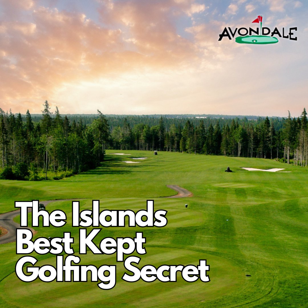 Avondale Golf Course tweet media