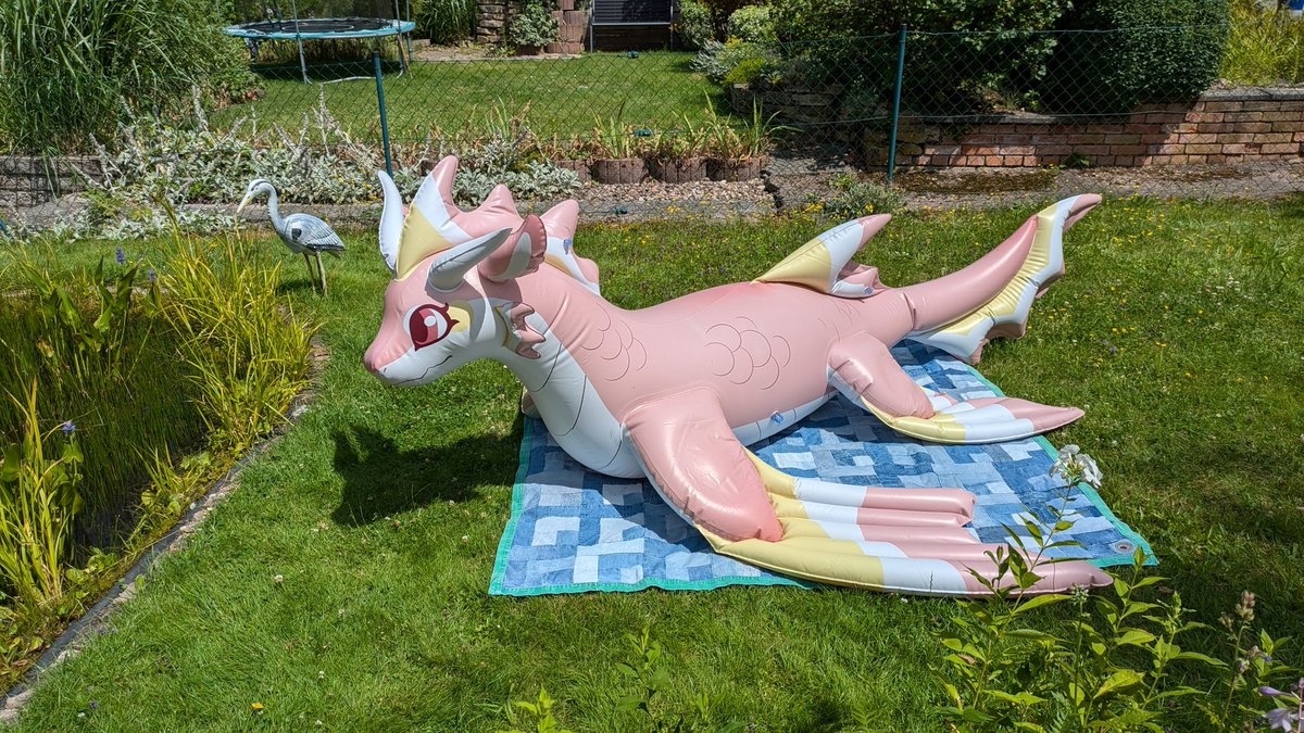 inflateceptable's tweet photo. Sooo... 
I opened the mysterious box and a wild creature jumped out and ran out in the garden. 👀
Took a while to get closer but she is calm now. 😊
Even local wildlife made contact. 😅

🐉 Made by @FactoryCreature 
Thank you so much! 🤗 https://t.co/66PKhhmy1u