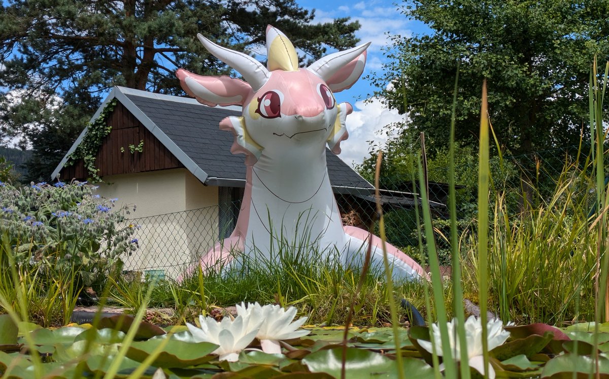 inflateceptable's tweet photo. Sooo... 
I opened the mysterious box and a wild creature jumped out and ran out in the garden. 👀
Took a while to get closer but she is calm now. 😊
Even local wildlife made contact. 😅

🐉 Made by @FactoryCreature 
Thank you so much! 🤗 https://t.co/66PKhhmy1u