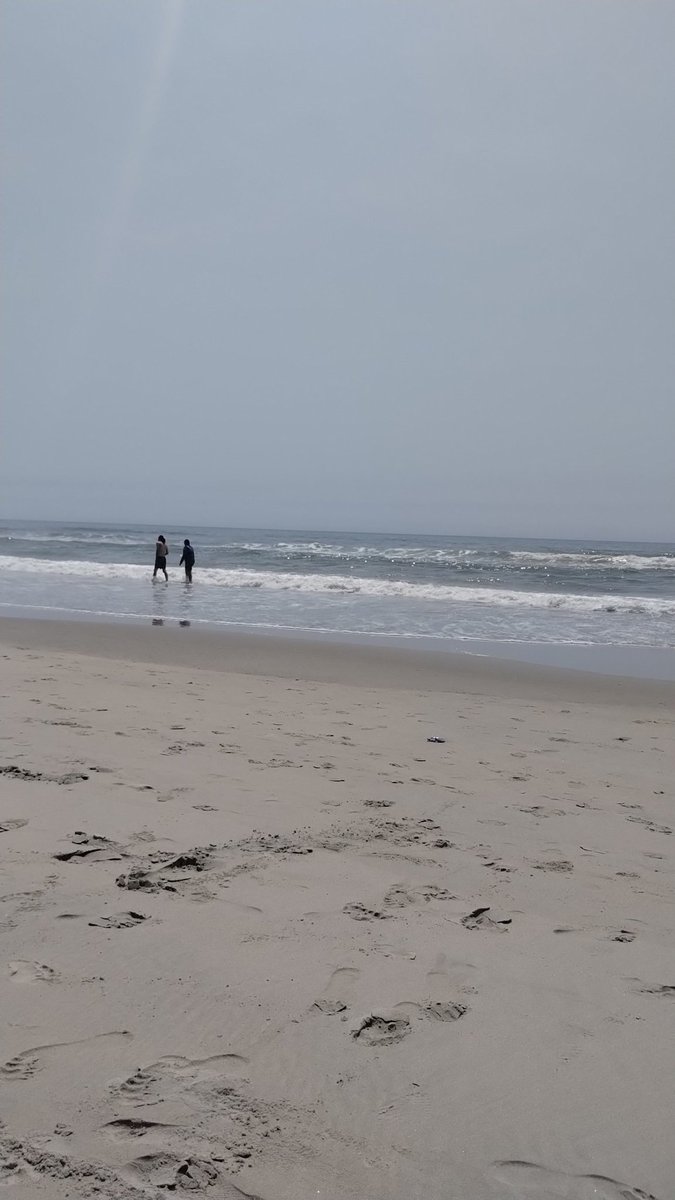 Beach life for the day