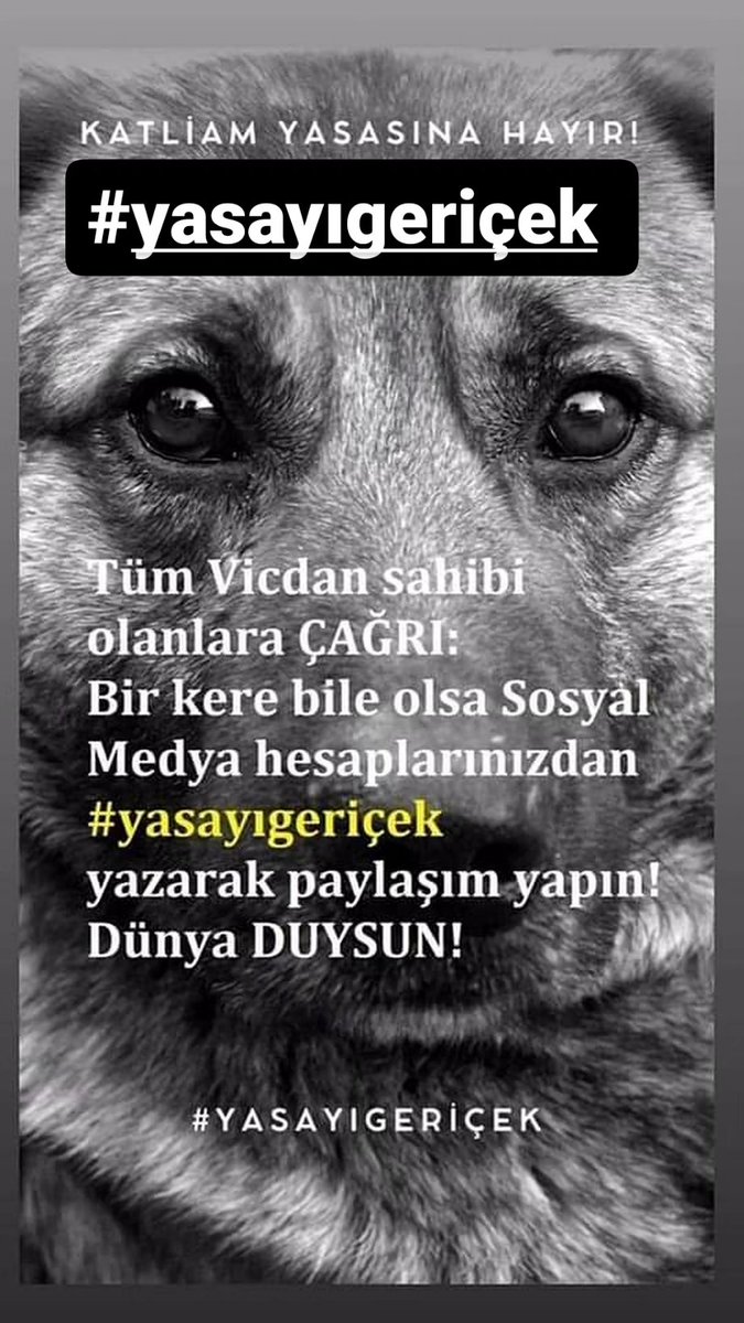 #YasayıGeriÇekKatliyamaHayır
Can olun bu meleklere can almak Allahin isi