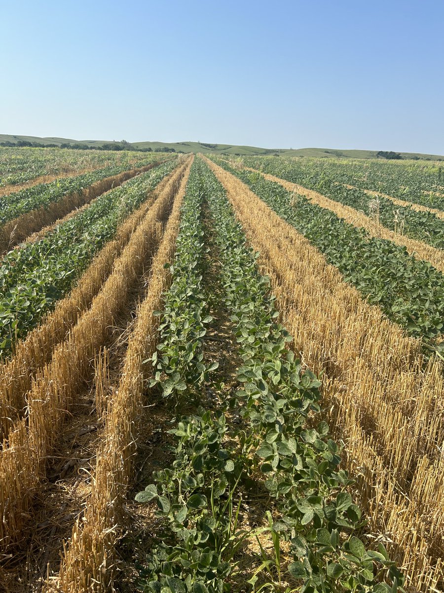 Phil High tweet media