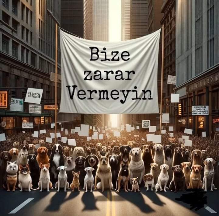 #YasayıGeriÇekKatliyamaHayır
Bu bir katliam'dir can almak haram'dir.
Müslüman olan biri katliam yapmaz dinimize sigmaz