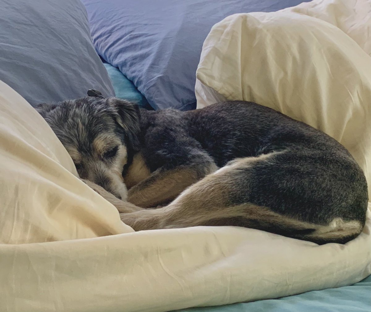 's tweet image. It’s morning. May you be happy and healthy today.