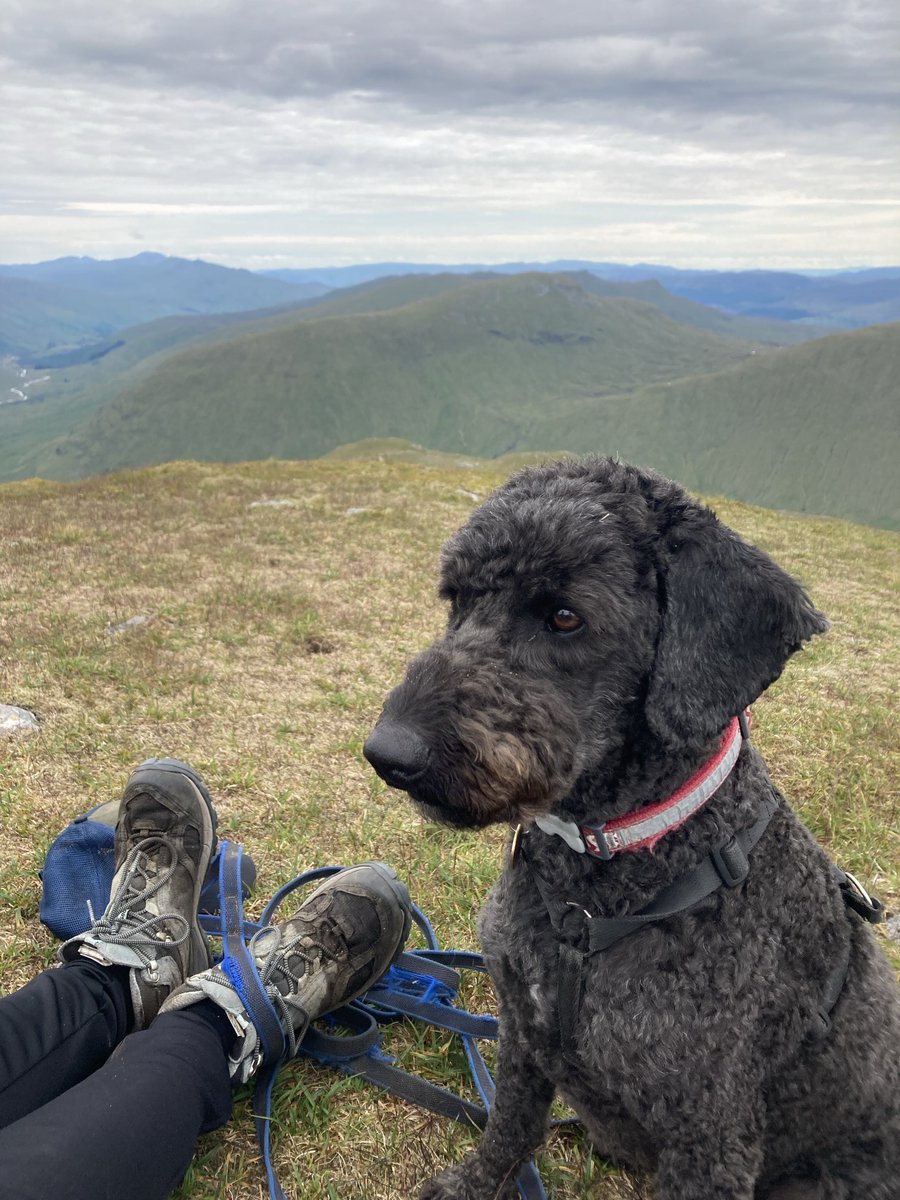 Ewan Crawford tweet media