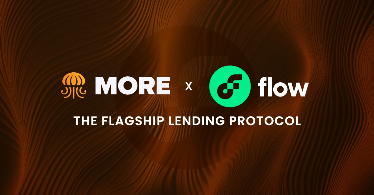 MORE Markets 🐙 tweet media