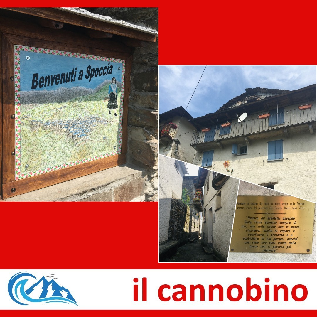cannobino's tweet photo. Le mie camminate. “Ognuno deve cercare a modo suo, ognuno deve fare il proprio cammino, perché uno stesso posto può significare cose diverse a seconda di chi lo visita.” TIZIANO TERZANI
Catia Testori
 #editoria #ilcannobino #cannobio #lemiecamminate https://t.co/TKBKtzYdTi