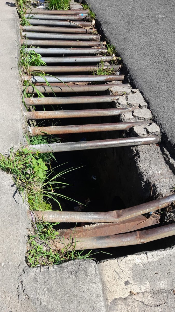 SonoraFM_sv's tweet photo. #HechosRadio | Ciudadanos solicitan ayuda para rescatar a un perro que cayó en una alcantarilla sobre la calle a Mariona, cerca del punto de buses de la ruta 2.

@ibaelsalvador @GABEHASH https://t.co/kXcFScQhKu