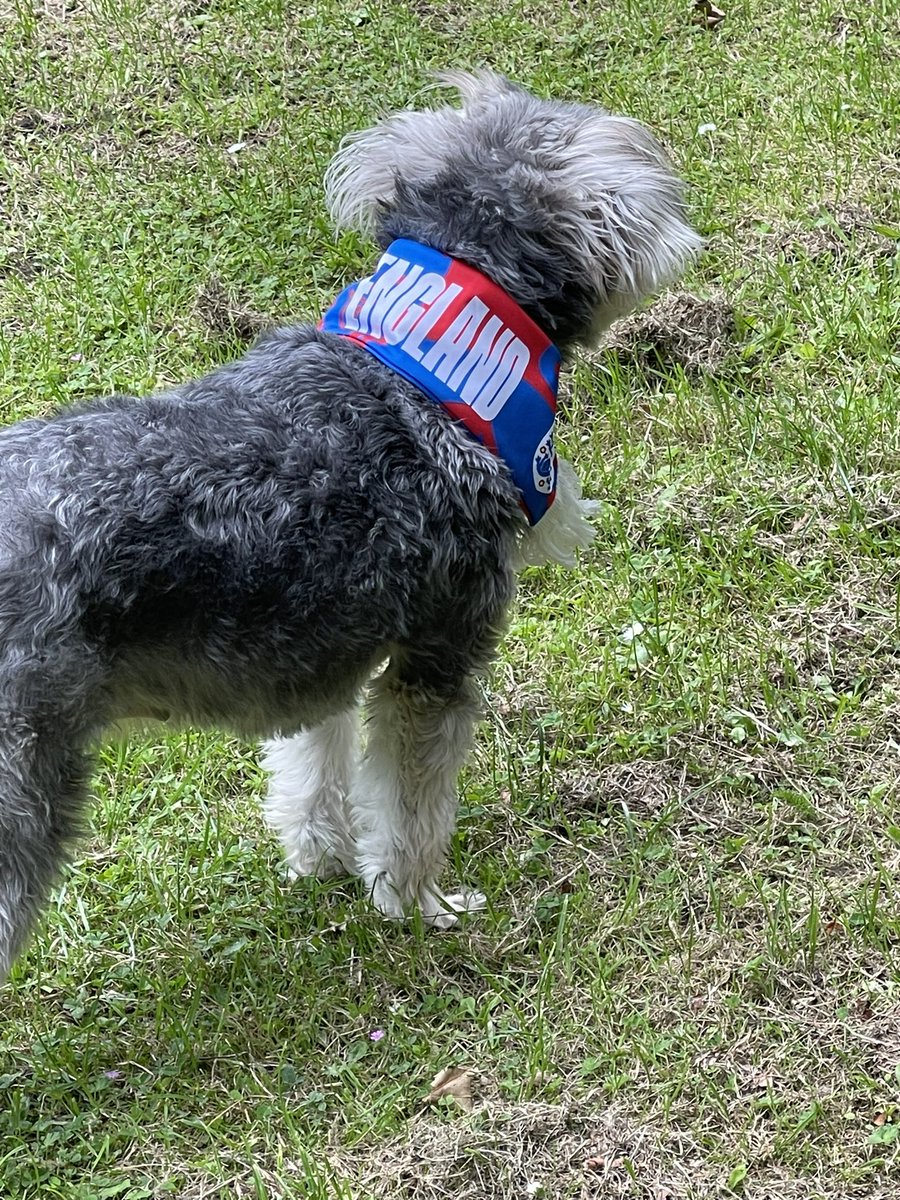 Ori turns two today do it for Ori #SSNThreeLions