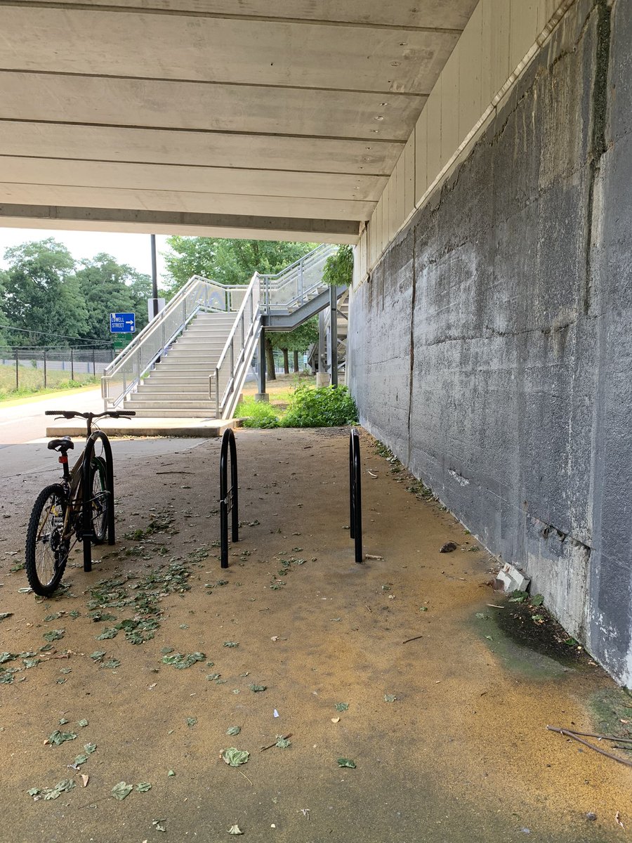 rlyncooper's tweet photo. Hi, @311Somerville! There’s a dead rat at the community path under the Lowell St overpass. https://t.co/O1SN1xPnQU