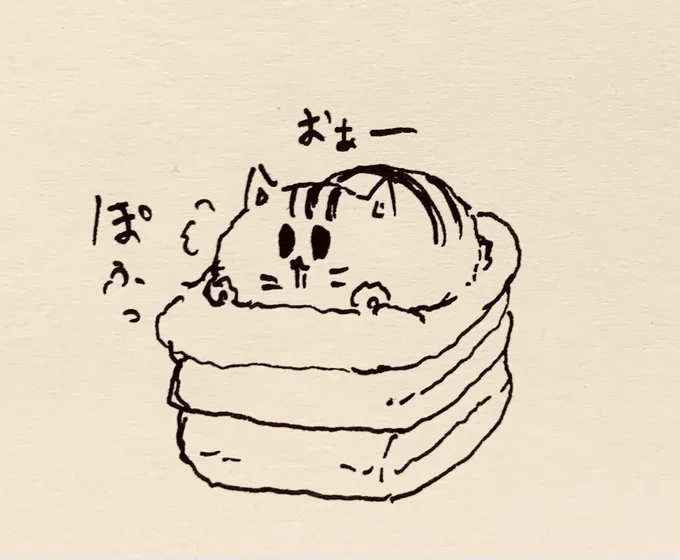 おやすみなさい…🐯 