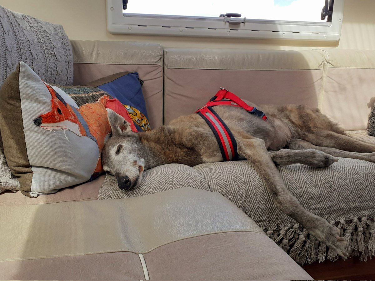 Pre-match snoozes before they start effing and jeffing at the tv...