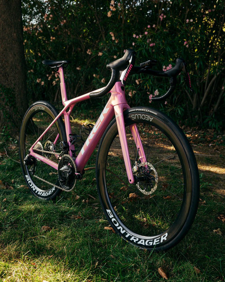 TrekBikes's tweet photo. Maglia Rosa looks good on you @ElisaLongoB 🩷🩷🩷

To celebrate this amazing @girowomen victory with @LidlTrek, a custom Project One "Maglia Rosa" Madone Gen 8 had to be delivered for Elisa today 💖

#GirodItaliaWomen https://t.co/qcHs6v5DRL
