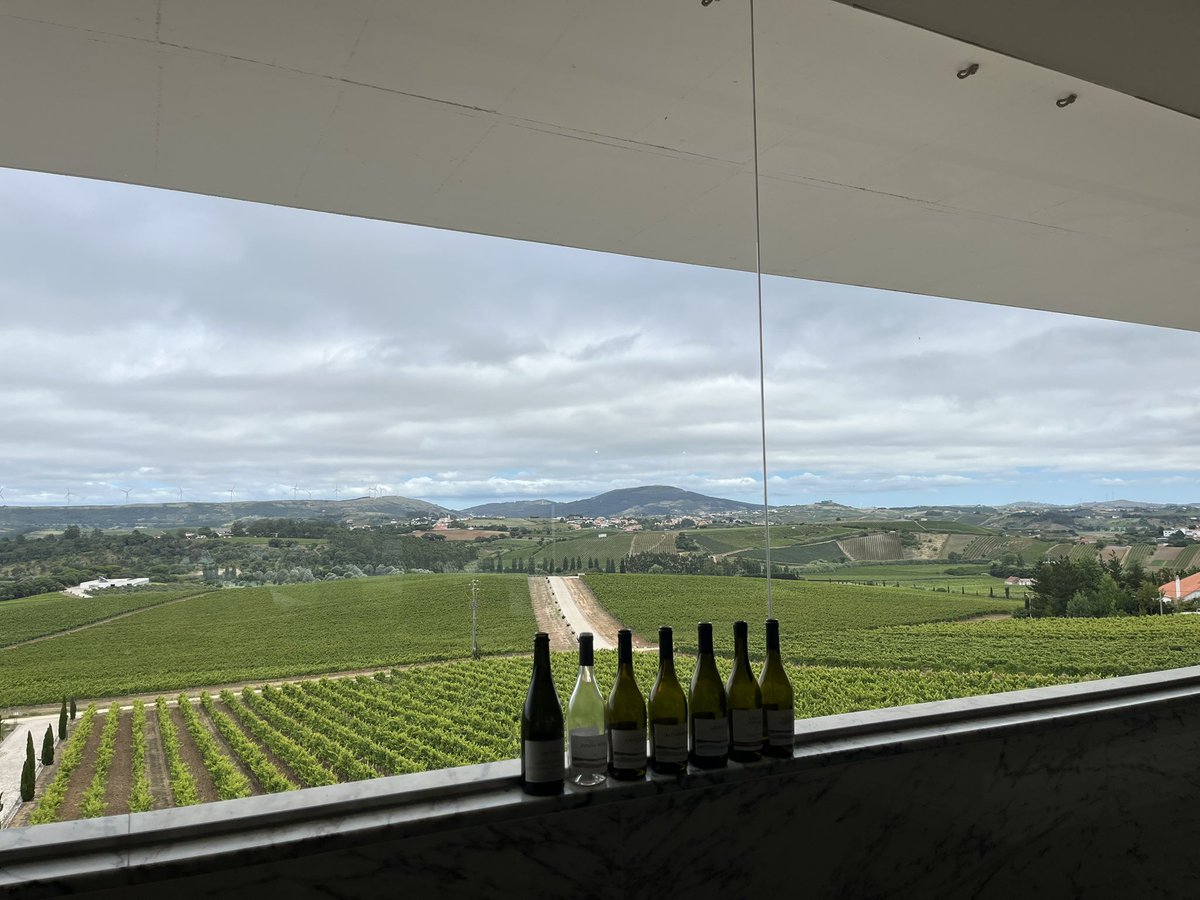 valelosardo's tweet image. What’s best than attending talks from an amazing line up of scientists paired with a wine testing in this amazing location? @mete_civelek ❤️🧬#gwas24 👏🏻to the organizers for this amazing conference!