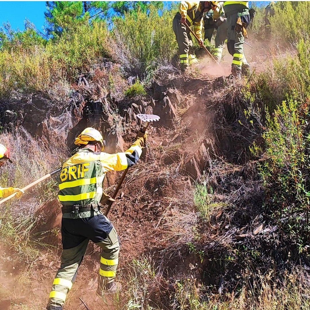 BRIF_PINO's tweet photo. Hoy los compañeros de TP han realizado entrenamiento de #lineadedefensa en monte de jara, carquesa y brezo uniendo pista forestal a cortafuegos como punto de anclaje simulando trabajo en incendio y manejo de comunicación con emisoras
Llegar a base y puesta a punto de herramienta https://t.co/riZtF1UfjG