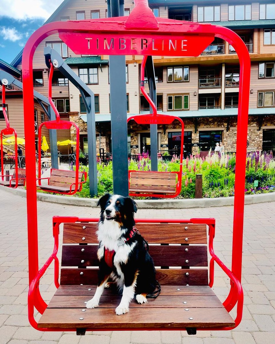 Winter Park Resort tweet media